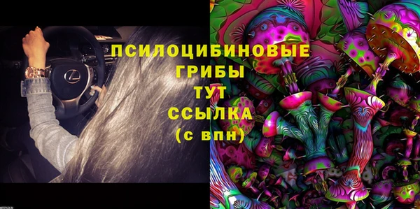 дурь Абинск