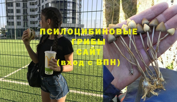дурь Абинск