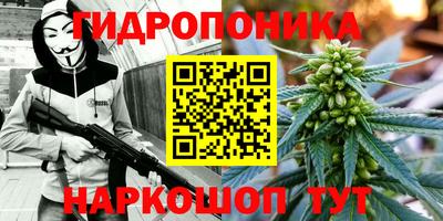 амф Братск
