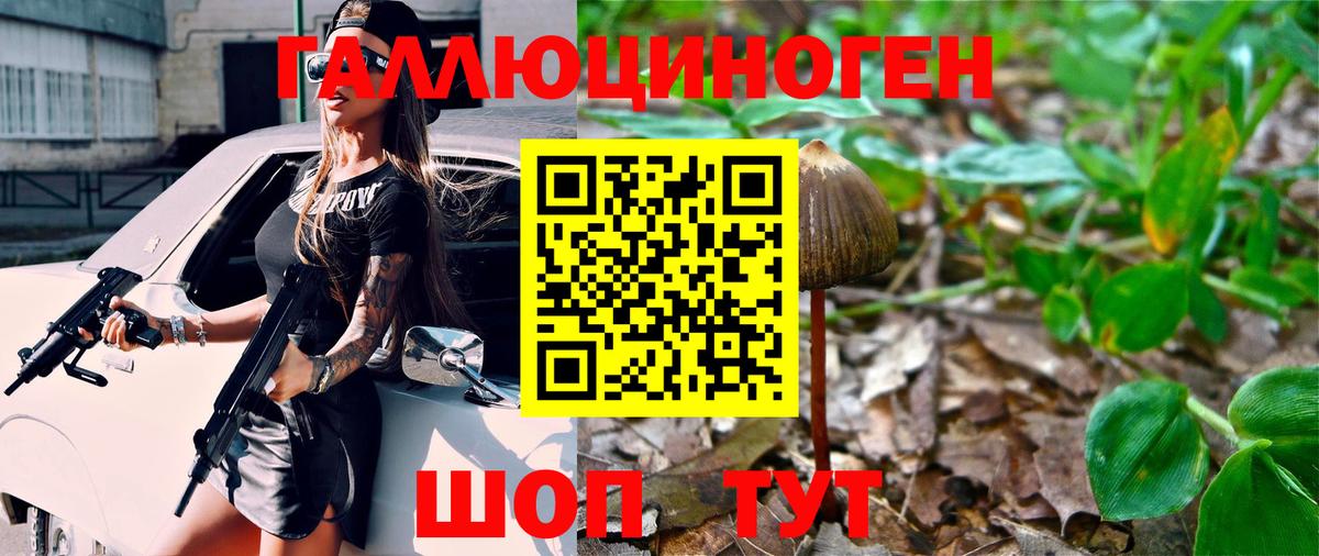 Галлюциногенные грибы Psilocybe Богданович
